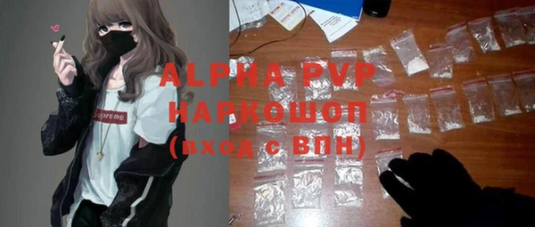 индика Балахна