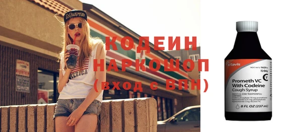 индика Балахна