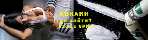 индика Балахна
