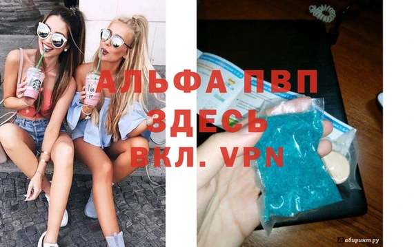 индика Балахна