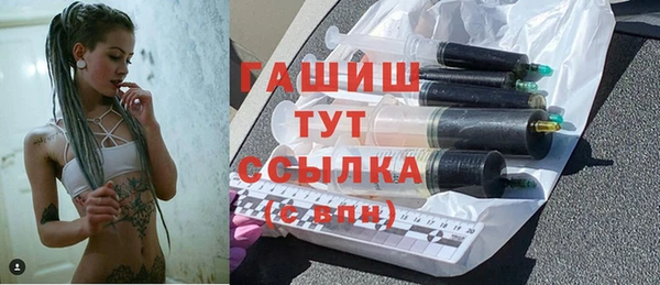 индика Балахна