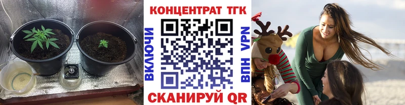 blacksprut как зайти  Бирюсинск  ТГК вейп с тгк  наркотики 